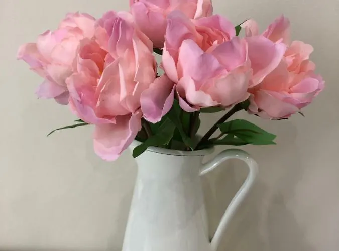 Family Avenue Alloggio in famiglia *