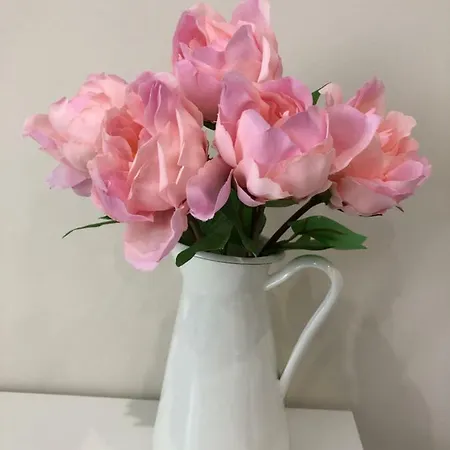 Family Avenue Homestay szállás *